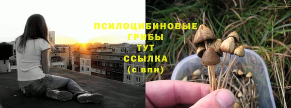 мескалин Бронницы