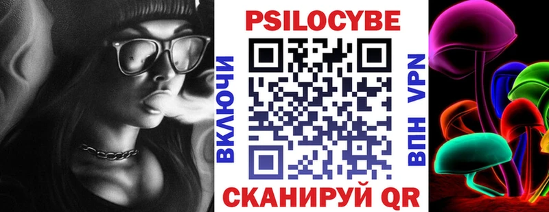 Псилоцибиновые грибы Psilocybe  Бердск 